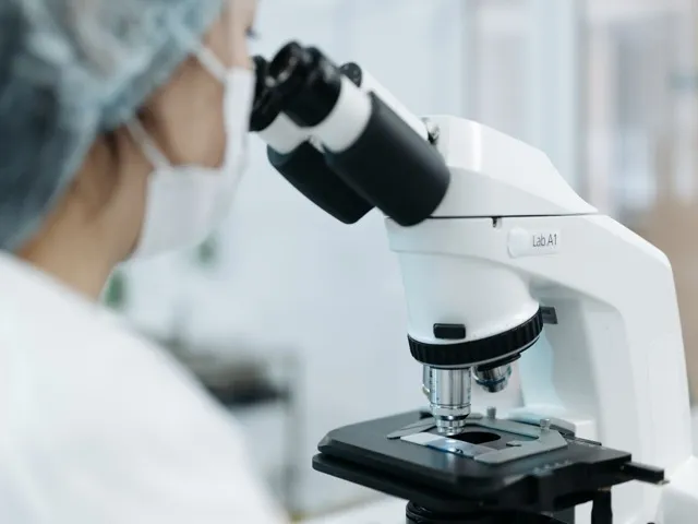 Laboratóriumi szakember mikroszkóppal végzi a minta morfológiai vizsgálatát