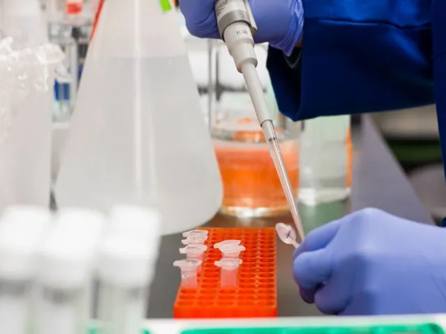 Szakember pipettával biológiai mintát mér be a laboratóriumi mintatartókba